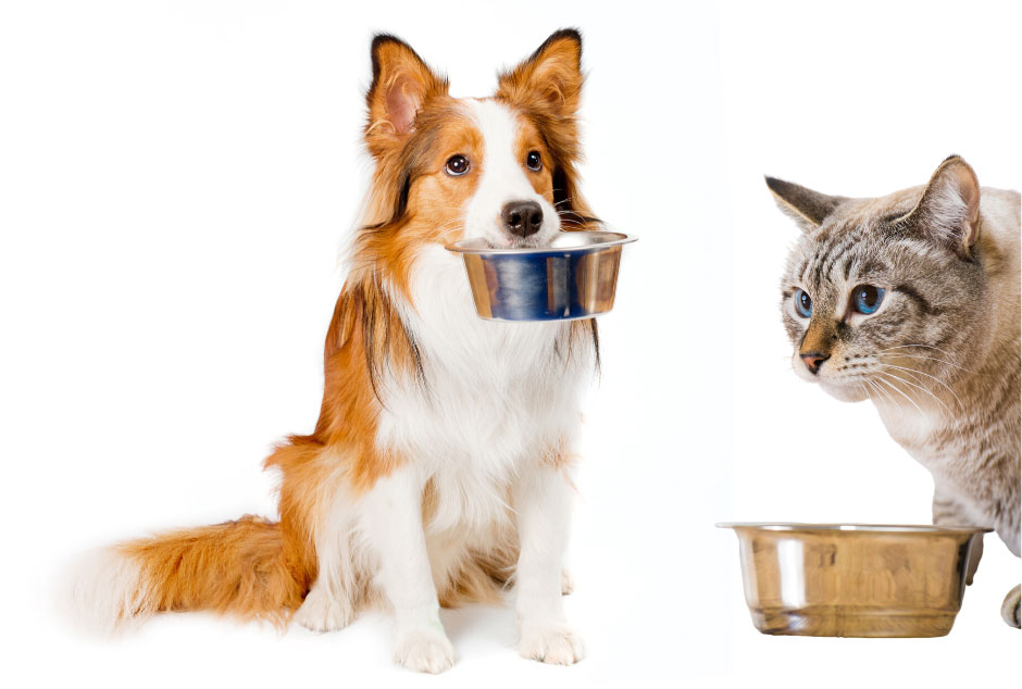 Happy Paws Pantry Where Pets and their People Thrive!